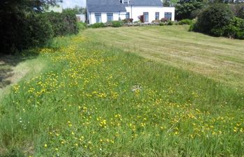 The Cosy Cottage Holiday Cottage