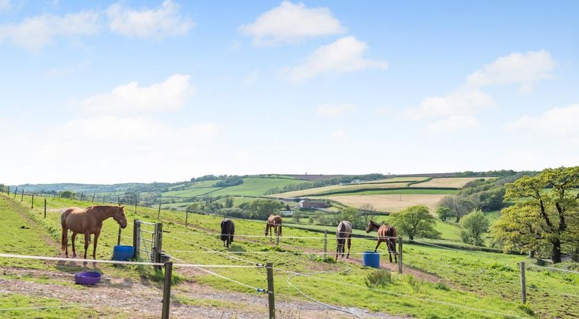 Photo of 4 Bed in Llangyndeyrn
