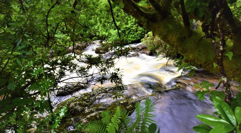 Photo of 3 Bed in Glenfinnan