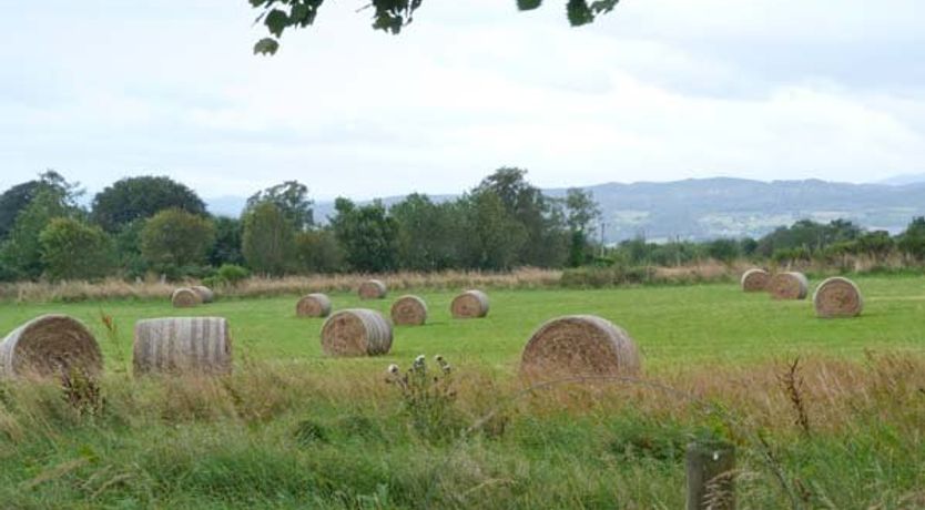 Photo of The Croft House