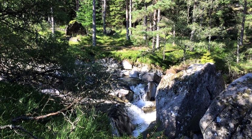 Photo of Garden Cottage