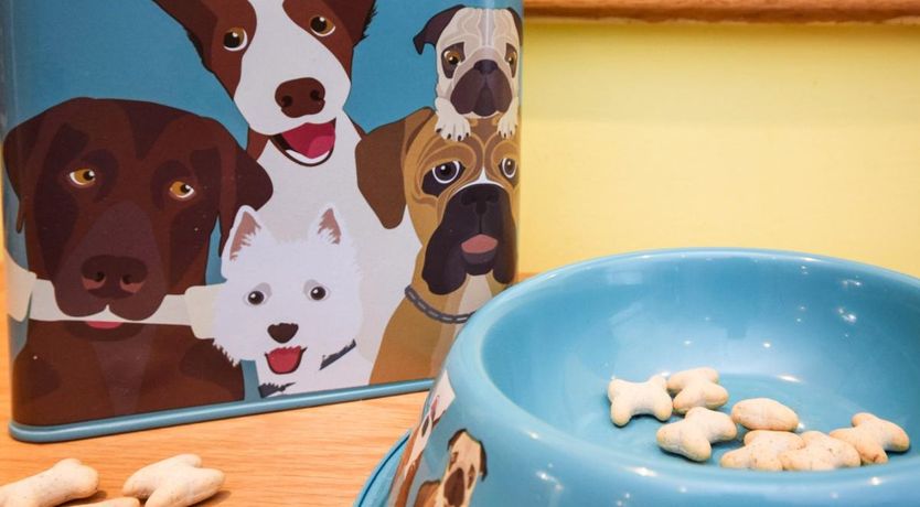 Photo of 2 Bed in Appledore