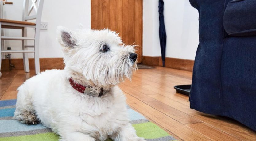 Photo of 2 Bed in Appledore