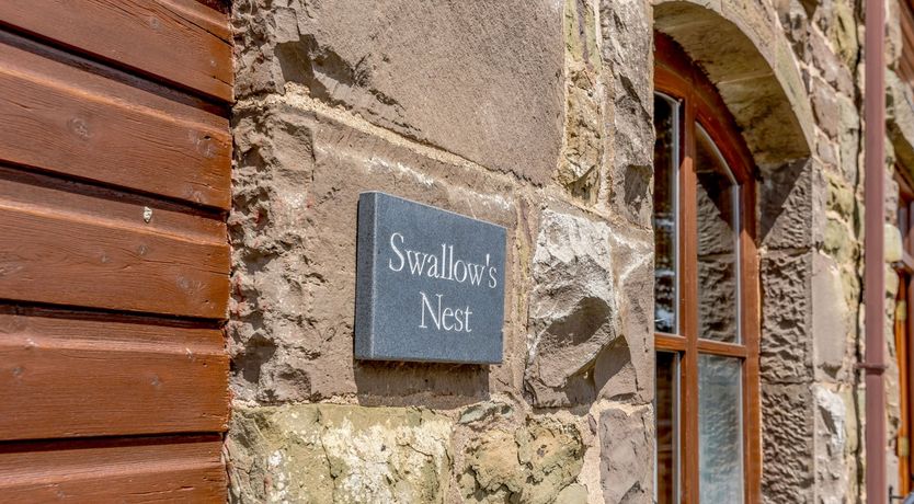 Photo of Swallow's Nest