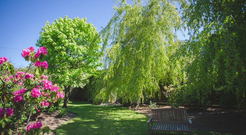 Photo of Diamond Hill