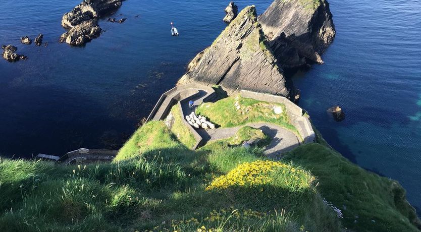 Photo of Foleys Guesthouse