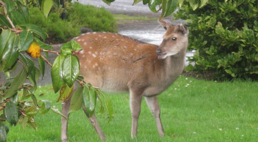 Photo of 19th Green B&B