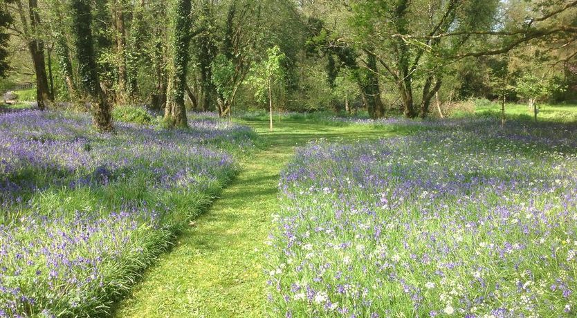 Photo of Gleann Fia Country House