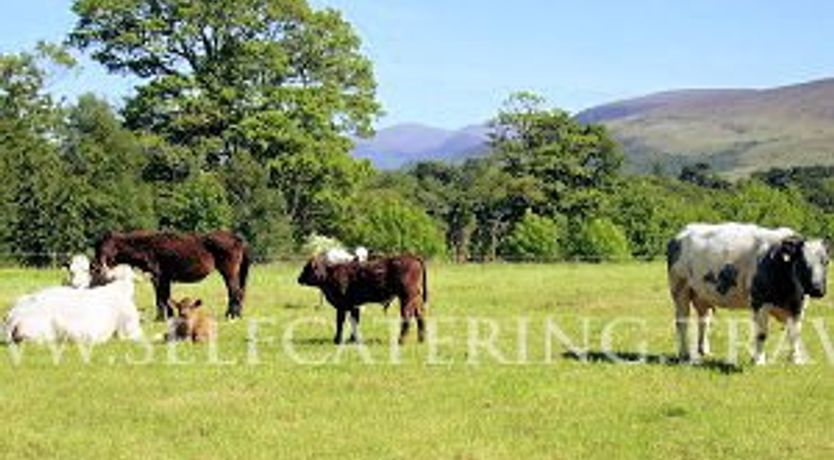 Photo of Inveraray Farm Guesthouse