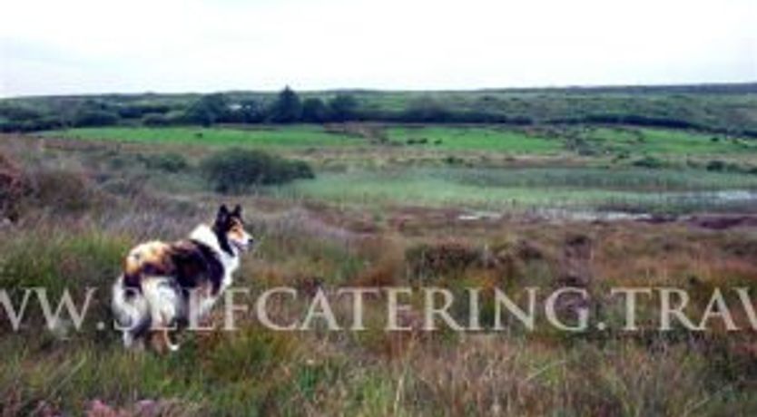 Photo of Moorland Country Guesthouse