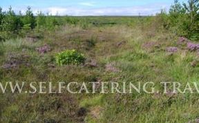 Photo of Moorland Country Guesthouse