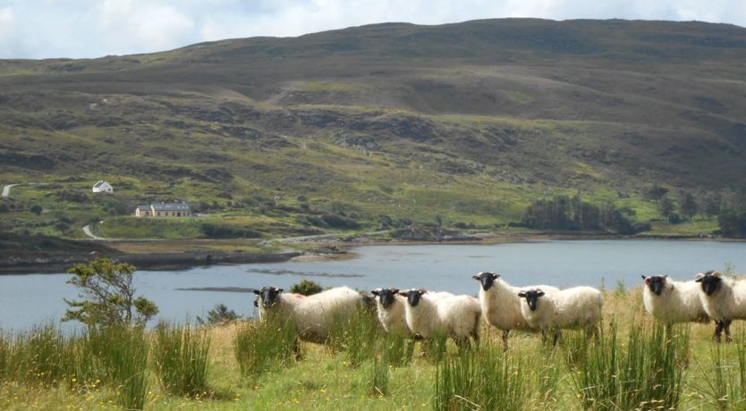 Photo of Buttermilk Lodge