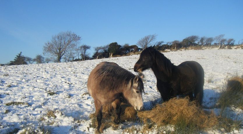 Photo of Buttermilk Lodge