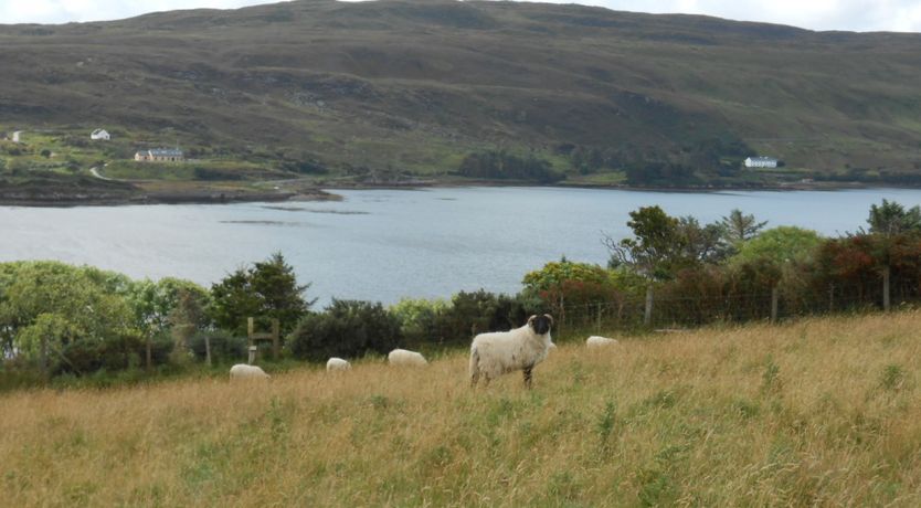Photo of Buttermilk Lodge
