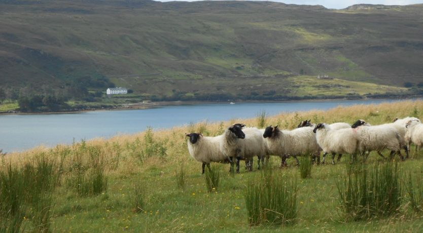 Photo of Buttermilk Lodge