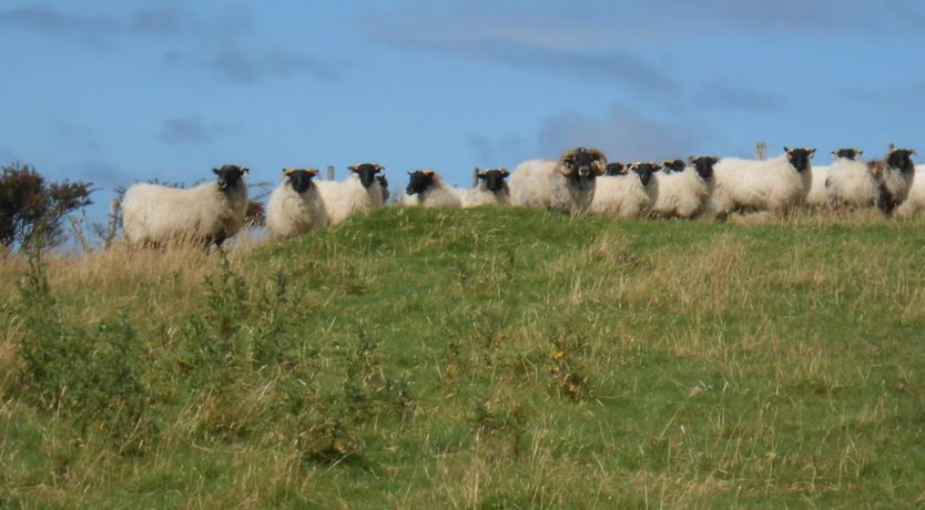 Photo of Buttermilk Lodge