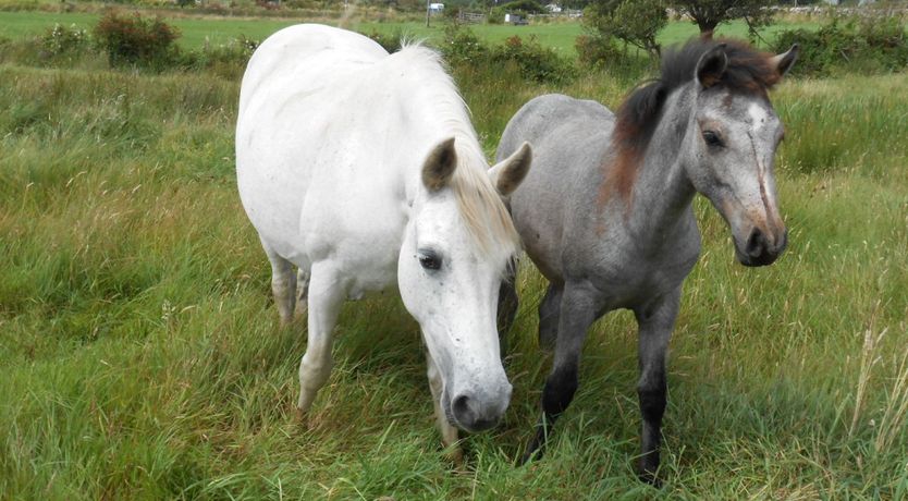 Photo of Buttermilk Lodge