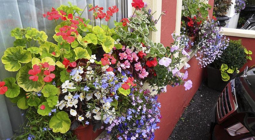 Photo of Achill House B&B