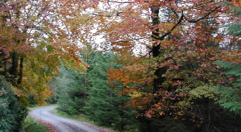 Photo of Clancys Of Glenfarne