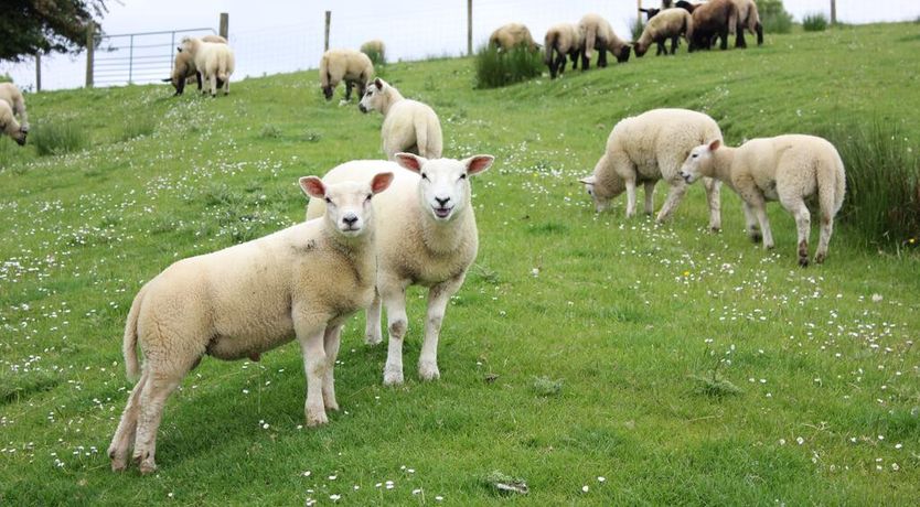 Photo of Ard Na Breatha