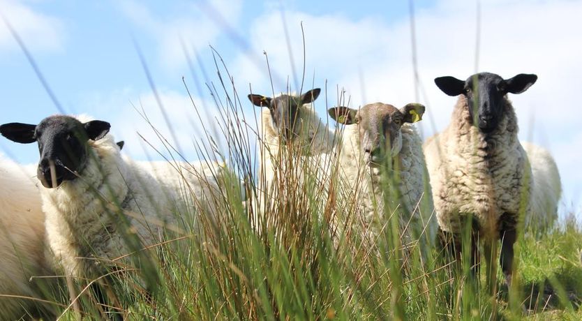 Photo of Ard Na Breatha