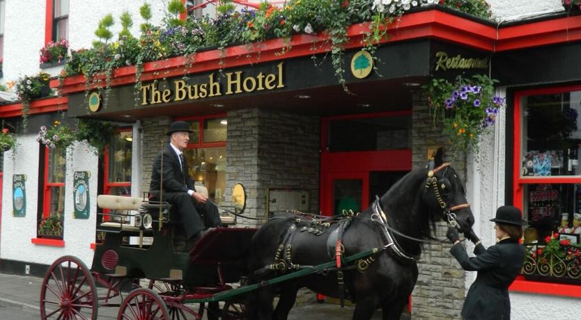 Photo of Bush Hotel