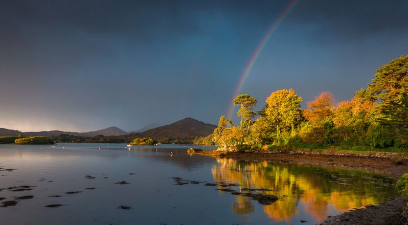 Photo of Caseys Hotel