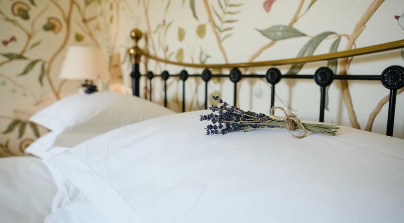 Photo of Virginia Park Lodge