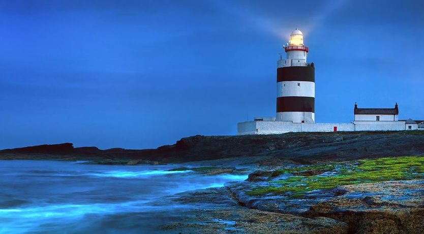 Photo of Cedar Lodge Hotel And Restaurant