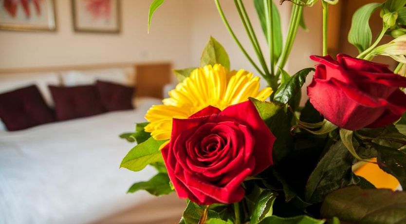 Photo of The Arches Hotel