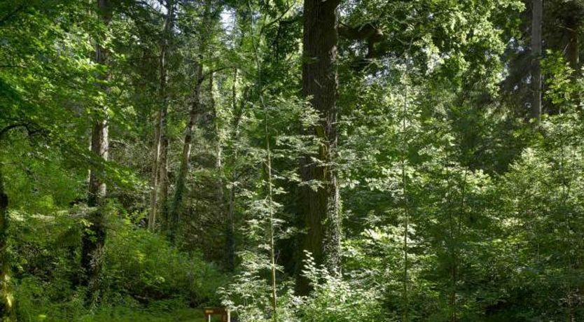 Photo of Radisson Blu Farnham Estate Hotel