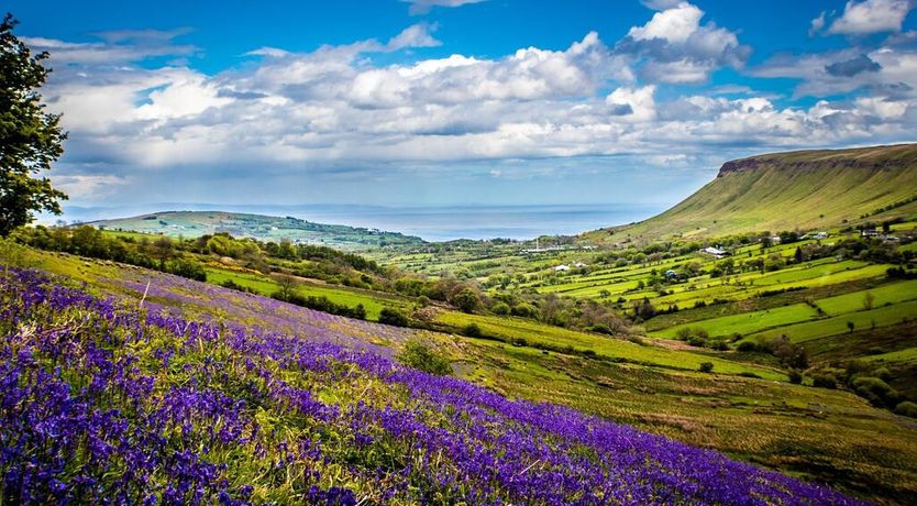 Photo of Cullentra House B&B