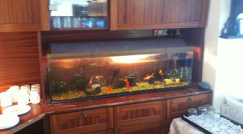 Photo of Fountain House B&B