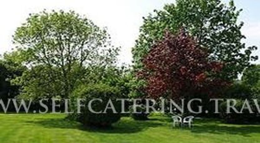 Photo of Saint Patricks