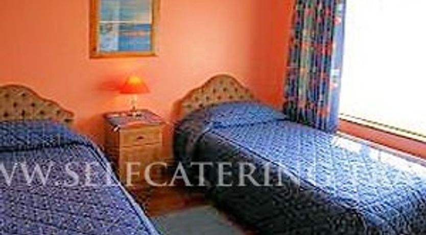 Photo of Saint Patricks