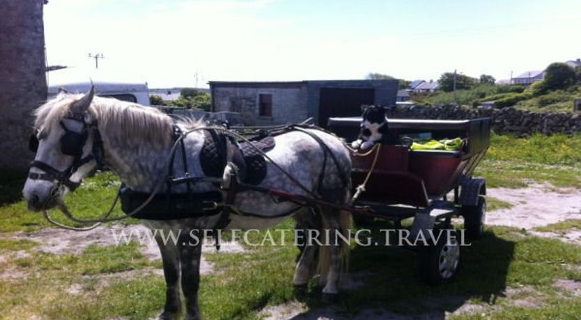 Photo of Kelly House