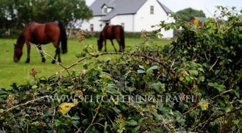 Photo of Kelly House