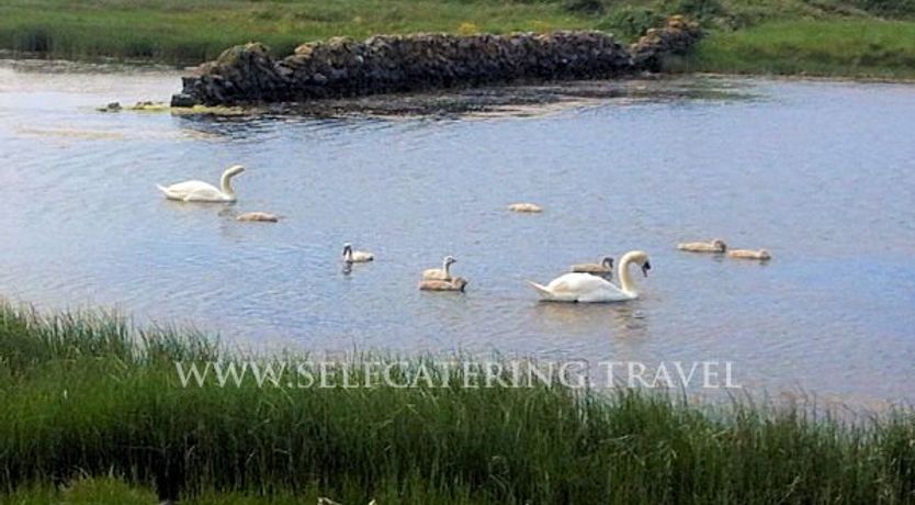 Photo of Kelly House