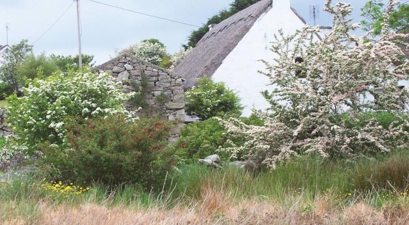 Photo of An Caladh Gearr Thatched Cottage