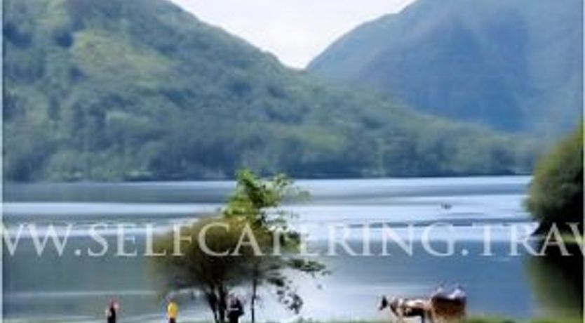 Photo of Hollybough House