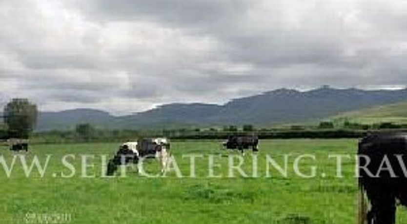 Photo of Hollybough House