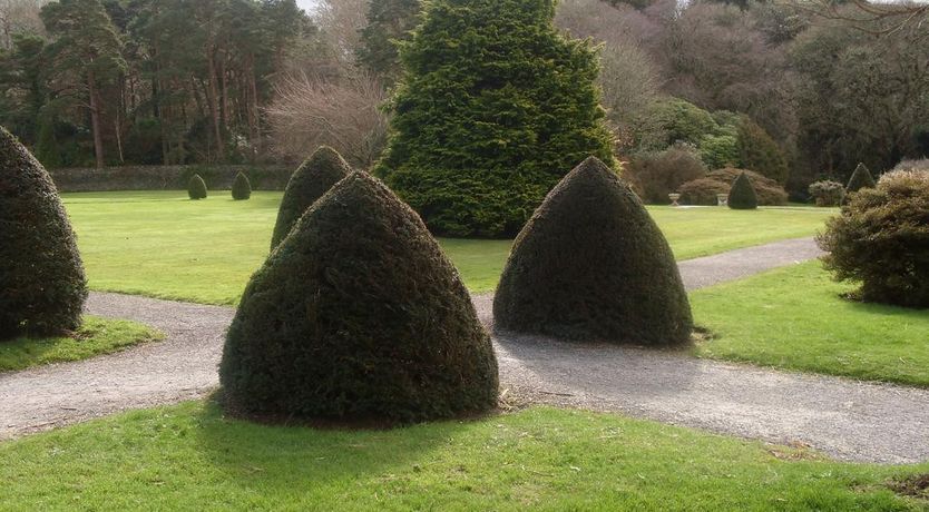 Photo of The Purple Heather