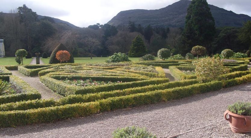 Photo of The Purple Heather