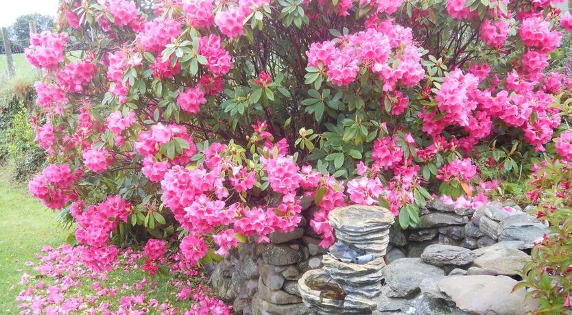 Photo of Kingdom View B&B