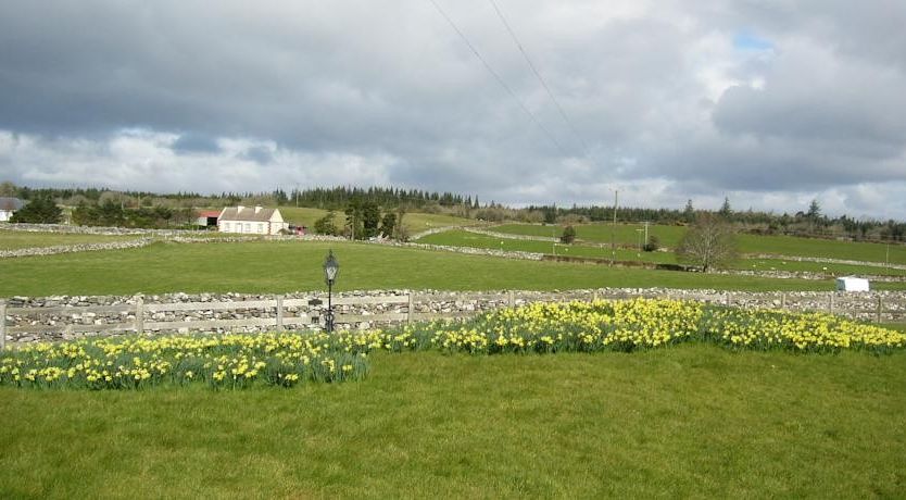 Photo of Inishfree Farm House