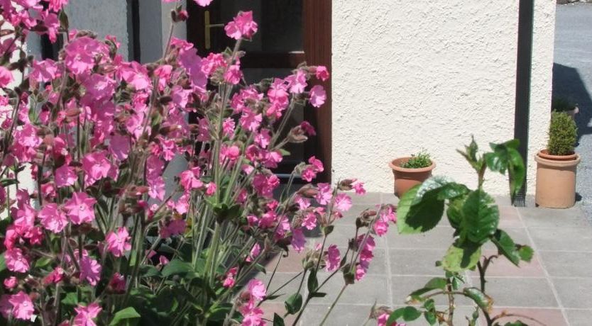 Photo of Inishfree Farm House