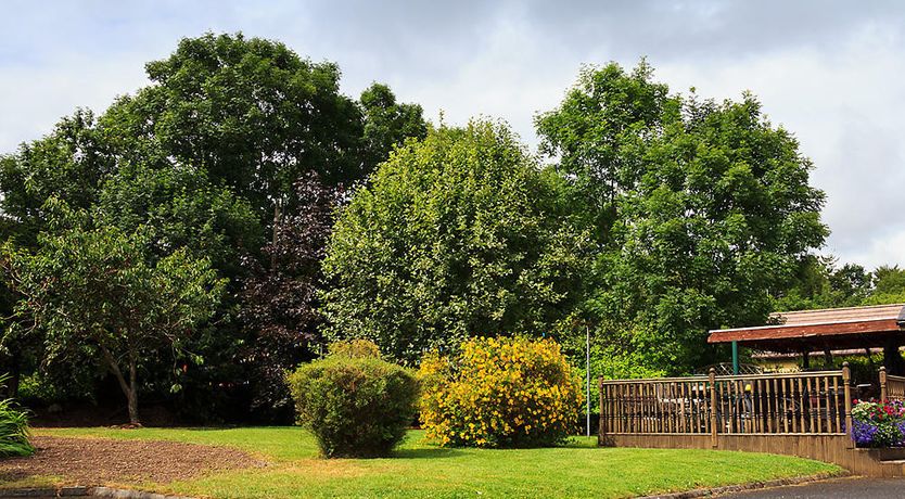 Photo of Woodview Lodge B&B