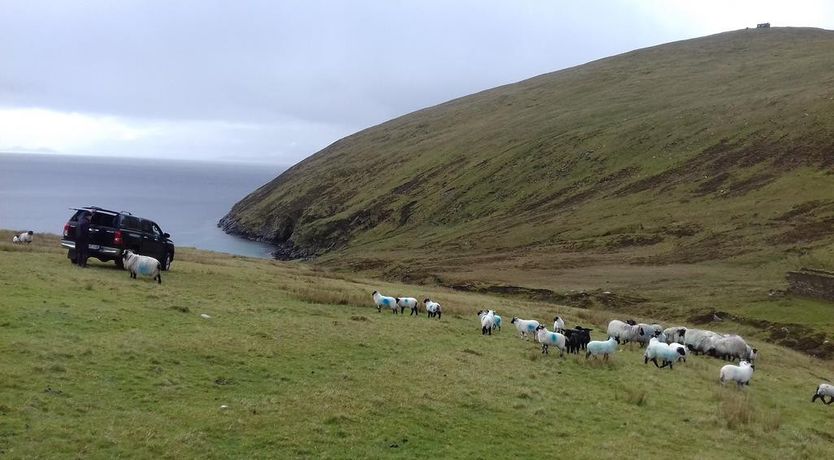 Photo of West Coast House B&B