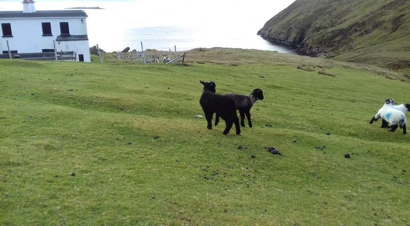 Photo of West Coast House B&B