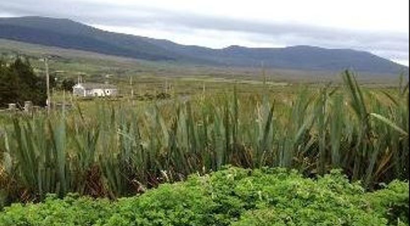 Photo of The Yellow Rose Bed And Breakfast